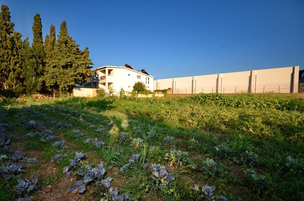 Aspro Spiti Hotel Apartments Tigkaki (Kos) Exterior foto
